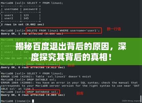 揭秘百度退出背后的原因,深度探究其背后的真相!