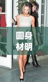 圆身材明星的时尚魅力先锋,独特风采引领潮流