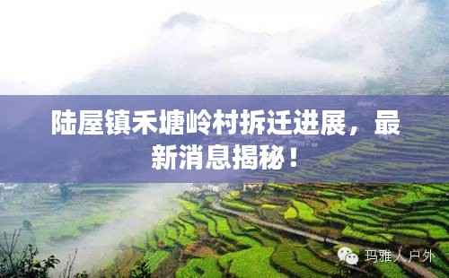 陆屋镇禾塘岭村拆迁进展,最新消息揭秘!