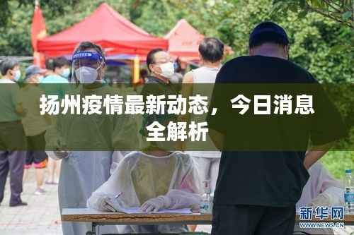 扬州疫情最新动态,今日消息全解析