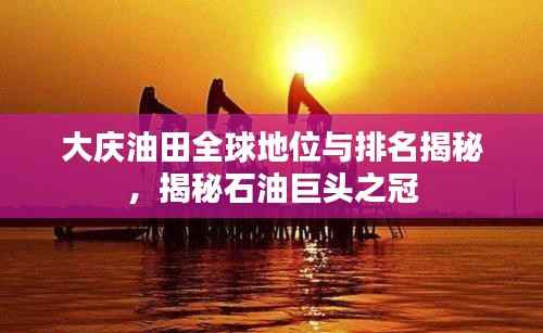 大庆油田全球地位与排名揭秘,揭秘石油巨头之冠