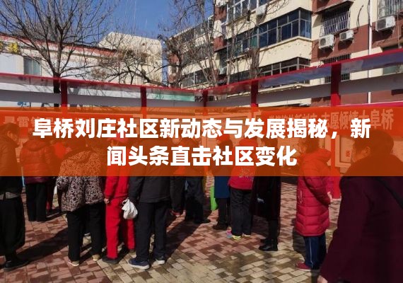 阜桥刘庄社区新动态与发展揭秘,新闻头条直击社区变化