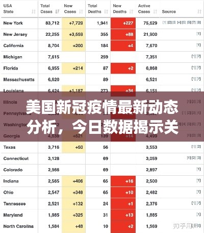 美国新冠疫情最新动态分析,今日数据揭示关键变化