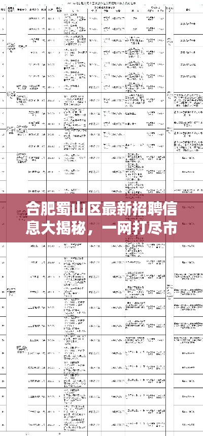 合肥蜀山区最新招聘信息大揭秘,一网打尽市区各大企业职位空缺