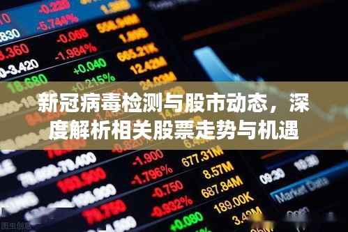 新冠病毒检测与股市动态,深度解析相关股票走势与机遇