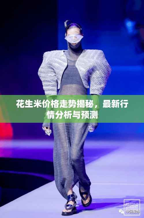 花生米价格走势揭秘,最新行情分析与预测