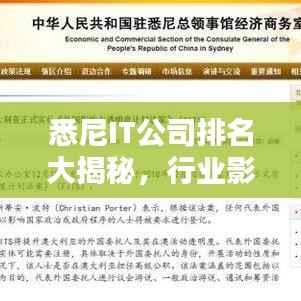 悉尼IT公司排名大揭秘,行业影响力深度解析