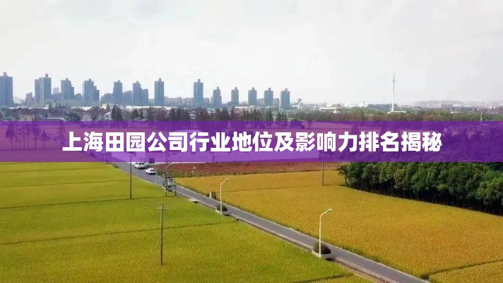 上海田园公司行业地位及影响力排名揭秘