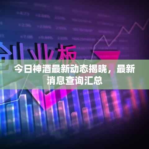 今日神酒最新动态揭晓,最新消息查询汇总
