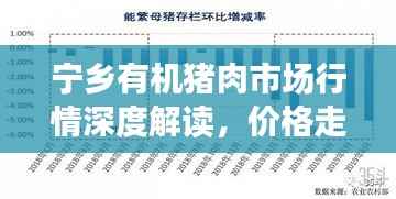宁乡有机猪肉市场行情深度解读,价格走势揭秘!
