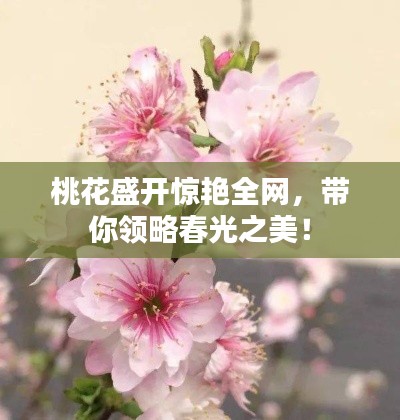 亘古新闻 第2页