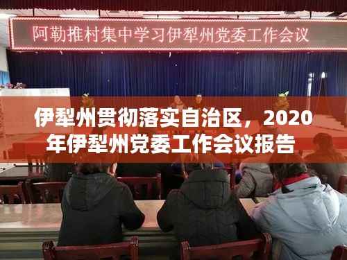 伊犁州贯彻落实自治区,2020年伊犁州党委工作会议报告