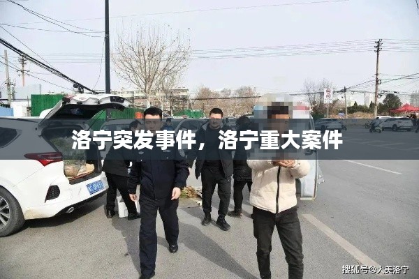 洛宁突发事件,洛宁重大案件