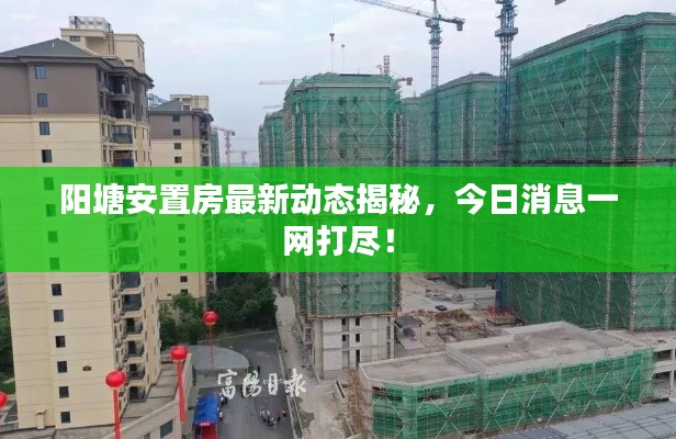 阳塘安置房最新动态揭秘,今日消息一网打尽!