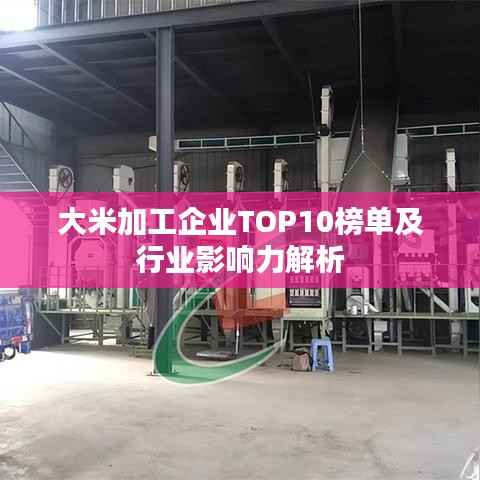 大米加工企业TOP10榜单及行业影响力解析