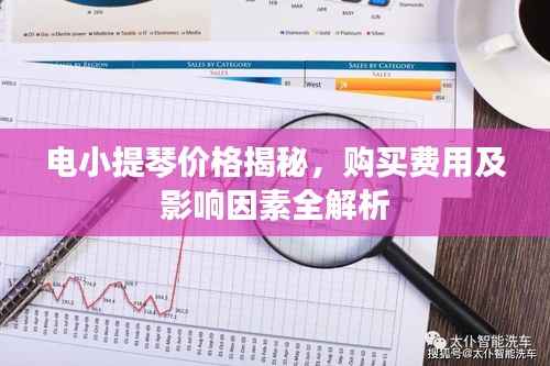 电小提琴价格揭秘,购买费用及影响因素全解析