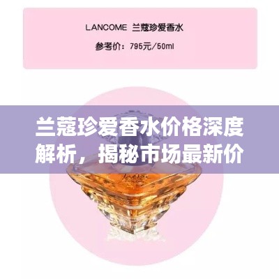 公司概况 第49页