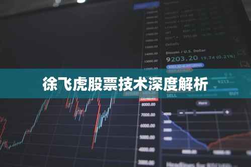 徐飞虎股票技术深度解析
