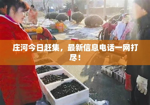 庄河今日赶集,最新信息电话一网打尽!